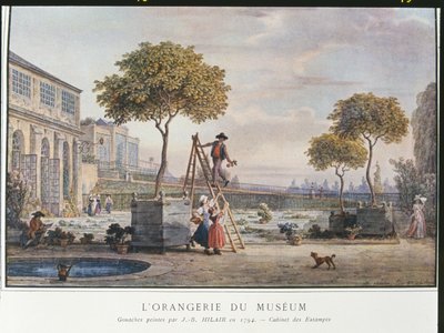 Orangeriet på museet i Paris i 1794 af Jean Baptiste Hilair