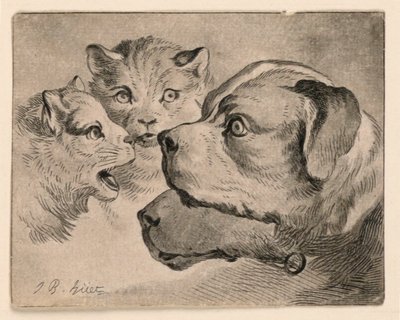 Hoveder af katte og hunde af Jean Baptiste Huet