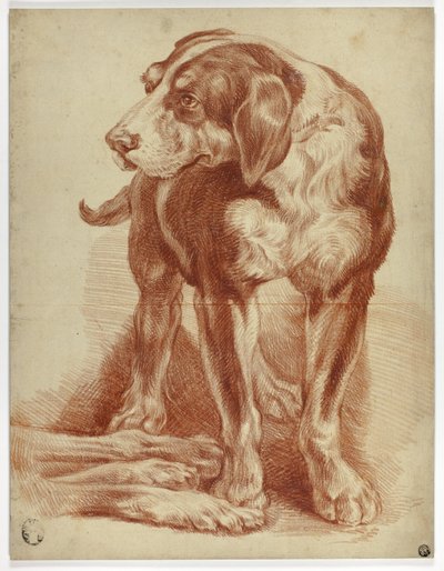 Hund stående af Jean Baptiste Huet