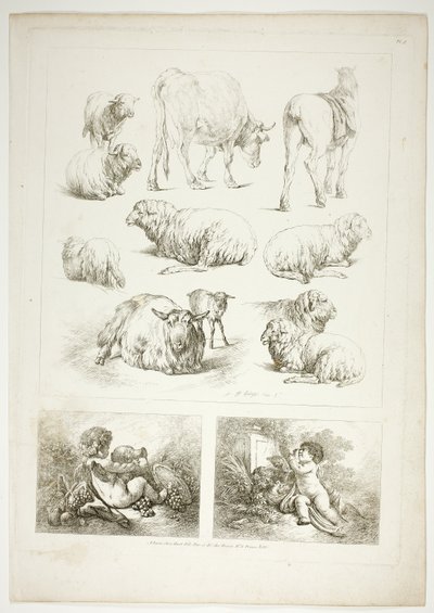 Tavle otte af 38 fra Oeuvres de J. B. Huet af Jean Baptiste Huet