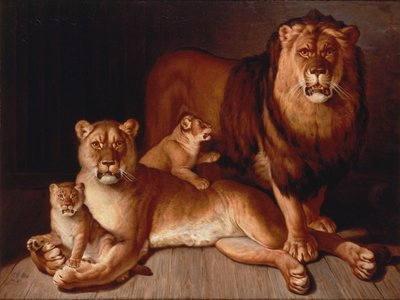 Pride of Lions af Jean Baptiste Huet
