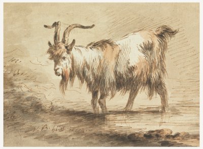 Studie af en ged af Jean Baptiste Huet