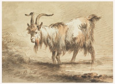 Tegning, studie af en ged, 1772 af Jean Baptiste Huet