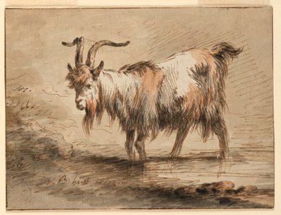 Tegning, studie af en ged, 1772 af Jean Baptiste Huet