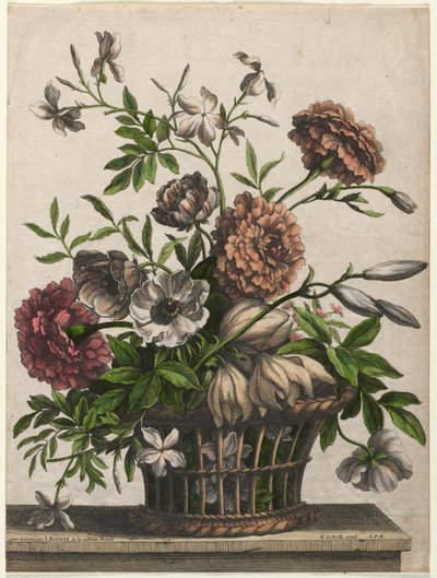 Morgenfruer, single anemone, Jasmin... af Jean Baptiste I Monnoyer