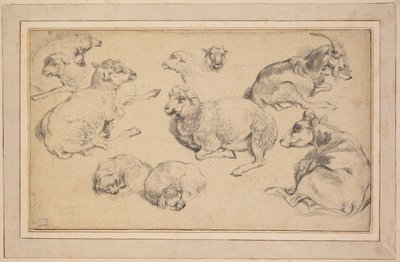 Ark med studier med får, geder og hunde, ca. 1780. af Jean Baptiste Marie Huet