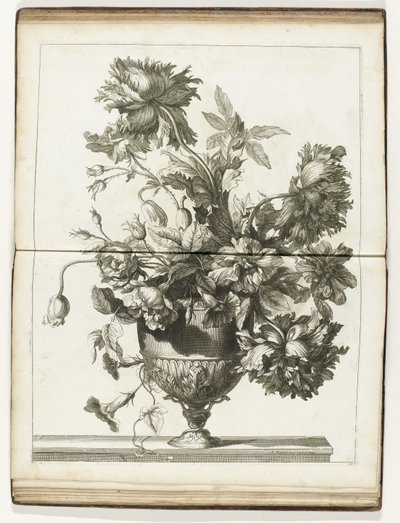 Bloemenvaas Bøger med flere vazes of flowers lavet efter det naturlige (serietitel) af Jean Baptiste Monnoyer