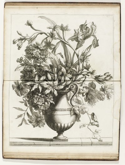 Bloemenvaas Bøger med flere vazes of flowers lavet efter det naturlige (serietitel) af Jean Baptiste Monnoyer