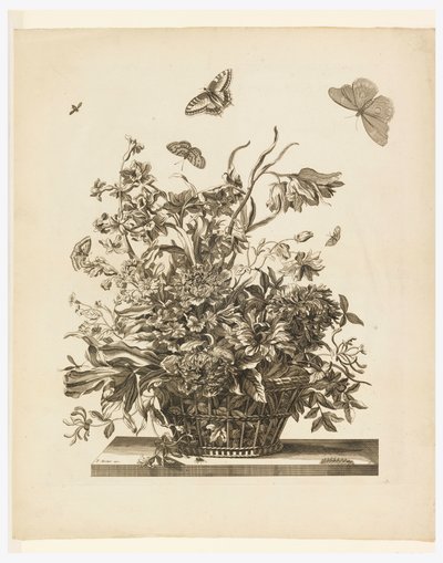 Plade 10, fra sæt af blomster i en kurv af Jean Baptiste Monnoyer