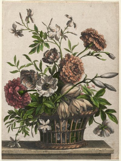 Morgenfruer, single anemone, Jasmin.... af Jean Baptiste Monnoyer I