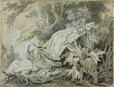En vild svane angrebet af en hund af Jean Baptiste Oudry