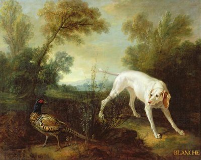 Blanche, tæve fra den kongelige jagtflok af Jean Baptiste Oudry