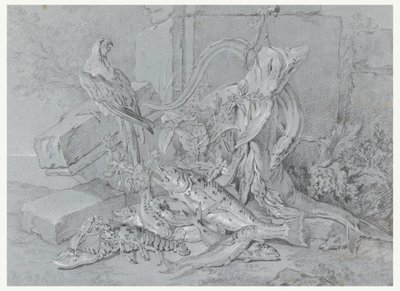 Tegning, Stilleben med fisk og papegøje, 1740 af Jean Baptiste Oudry