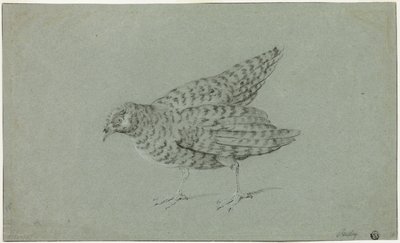 Agerhøne af Jean Baptiste Oudry