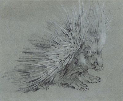Hulepindsvin af Jean Baptiste Oudry