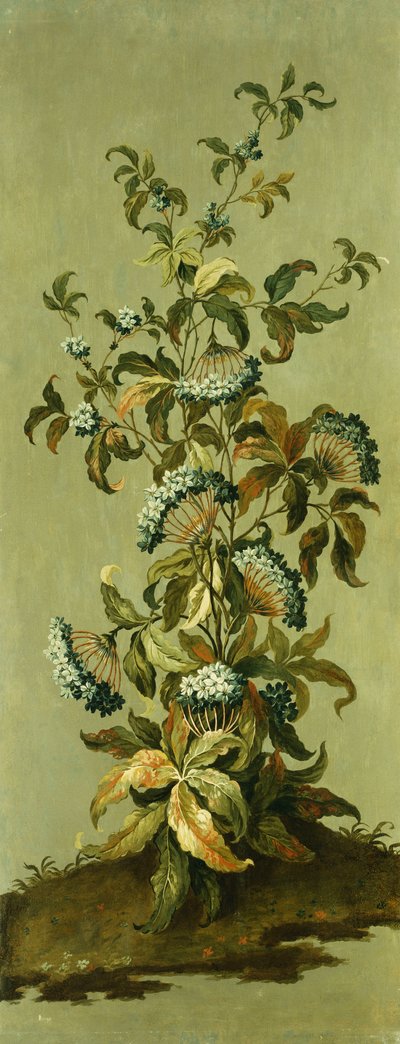 Dekorative paneler med blomster af Jean Baptiste Pillement