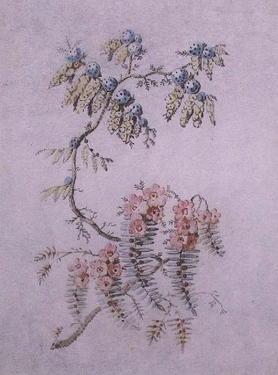 Dekorativ undersøgelse af blomster og bær af Jean Baptiste Pillement