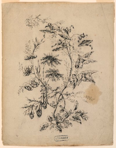 Tegning, gren af et fantastisk træ, 1775-1800 af Jean Baptiste Pillement