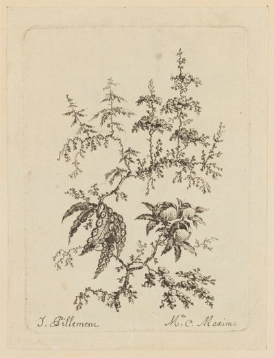 Fantastisk blomst af Jean Baptiste Pillement