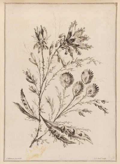 Blomstergren af Jean Baptiste Pillement