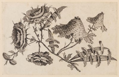 Flower Bough, fra "Chinese Flower Collection" af Jean Baptiste Pillement