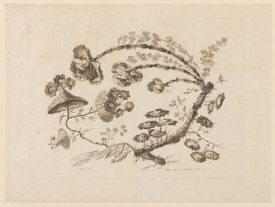 Blomstergrene, fra "Samling af forskellige fantasiblomster i kinesisk smag" af Jean Baptiste Pillement