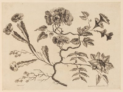 Blomstergrene, fra "Samling af forskellige fantasiblomster i kinesisk smag" af Jean Baptiste Pillement