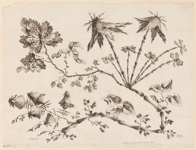 Blomstergrene, fra "Samling af forskellige fantasiblomster i kinesisk smag" af Jean Baptiste Pillement