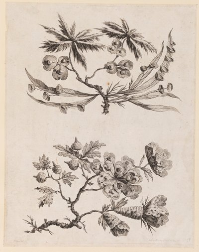 Blomstergrene fra "Chinese Flower Collection" af Jean Baptiste Pillement