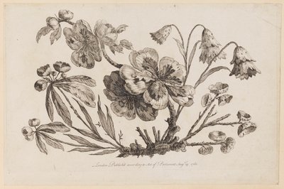 Blomstergrene, fra "Collection of Chinese Flowers" af Jean Baptiste Pillement