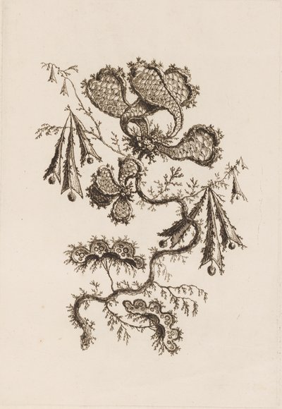 Blomstergren, fra "Fleures Persannes" af Jean Baptiste Pillement
