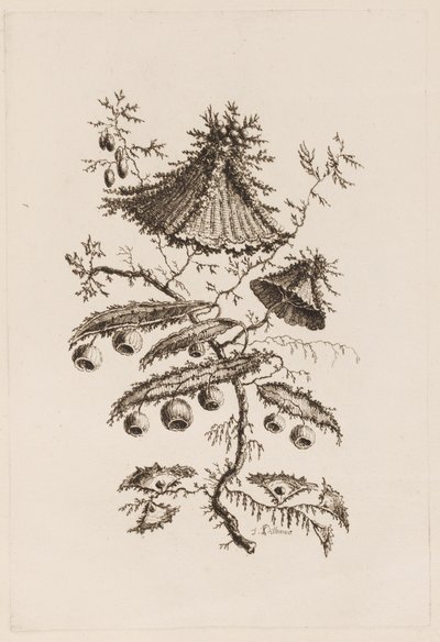 Blomstergren, fra "Fleures Persannes" af Jean Baptiste Pillement