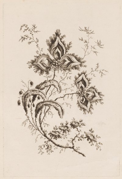 Blomstergren, fra "Fleures Persannes" af Jean Baptiste Pillement