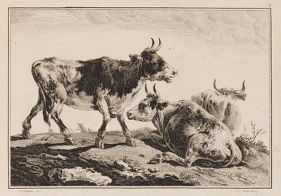 Plade 2, fra "Notebook of Six Sheets of Oxen and Cows" af Jean Baptiste Pillement