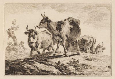 Plade 4, fra "Notesbog med seks ark okser og køer" af Jean Baptiste Pillement