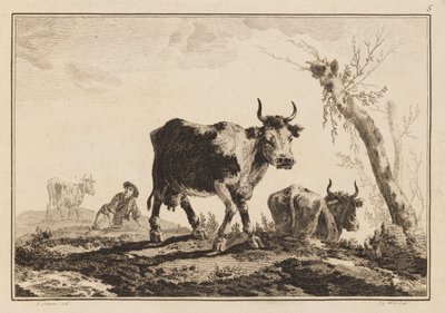 Plade 5, "Notesbog med seks ark okser og køer" af Jean Baptiste Pillement