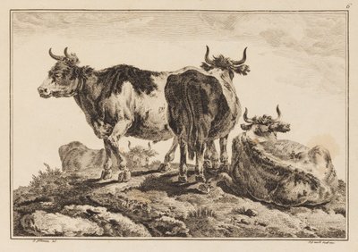Plade 6, fra "Notesbog med seks ark okser og køer" af Jean Baptiste Pillement
