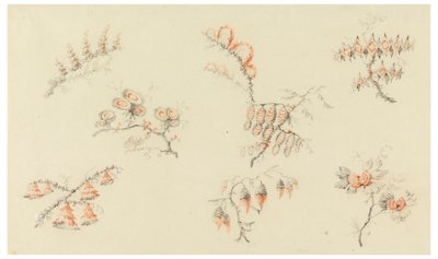 Sprays af syv ideelle blomster og af en næsten naturalistisk blomst af Jean Baptiste Pillement