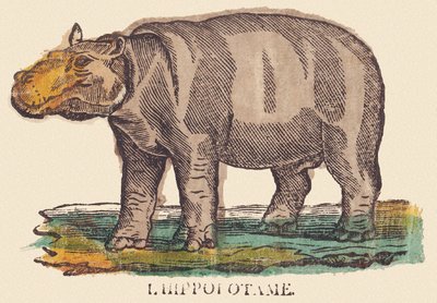Flodhesten, ca. 1840-1852 (litografi) af Jean Baptiste Thiebault