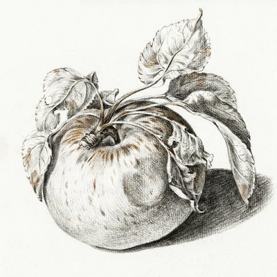 Apple af Jean Bernard