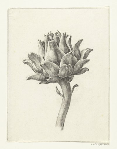 Artiskok af Jean Bernard
