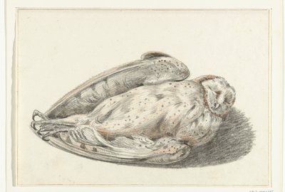 død ugle af Jean Bernard