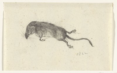 død mus af Jean Bernard
