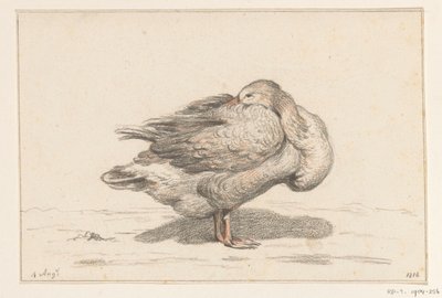 Gans af Jean Bernard