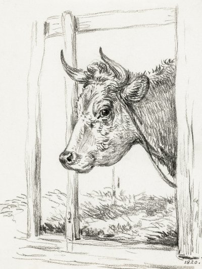 Kohoved (1820) af Jean Bernard
