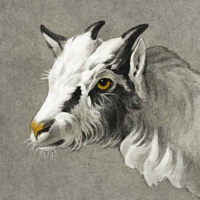 Et gedhoved af Jean Bernard