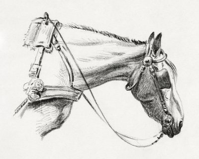 Hestehoved (1820) af Jean Bernard