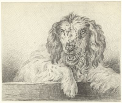 Hund af Jean Bernard