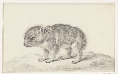 Ung bjørn (?) af Jean Bernard