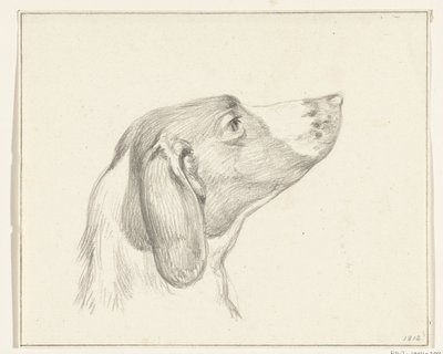 Hovedet af en hund, til højre af Jean Bernard